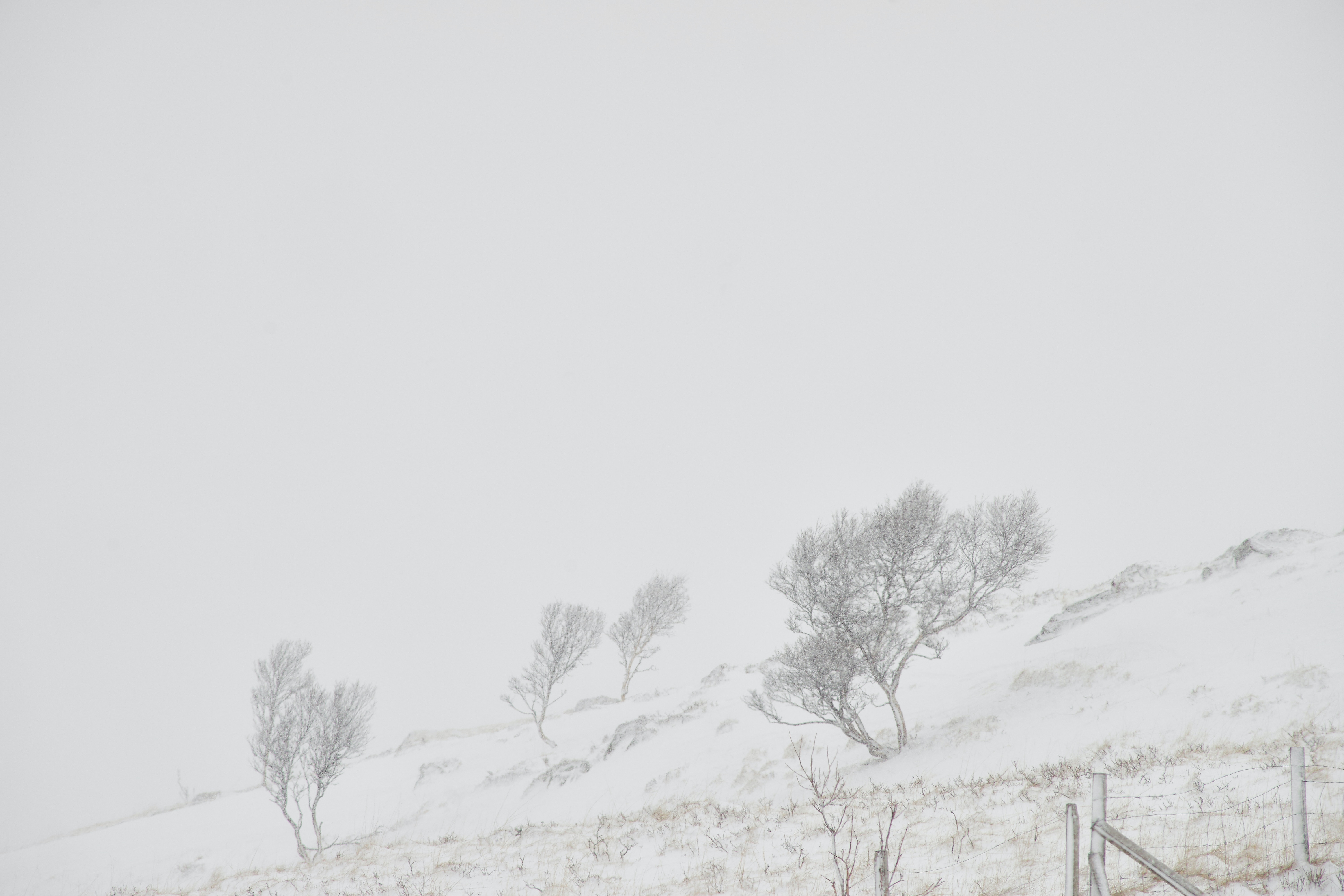 ¿Por qué una tormenta de nieve no produce rayos?